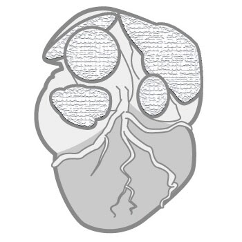 tomographic-img-01