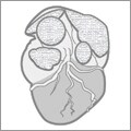 tomographic-thum-01