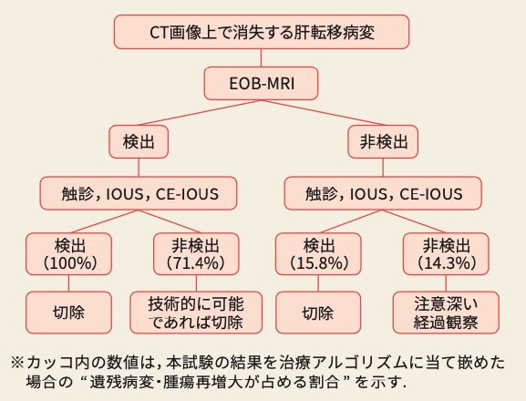 DLMに対する治療アルゴリズム DLMに対する治療アルゴリズム