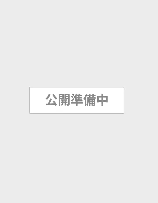 公開準備中