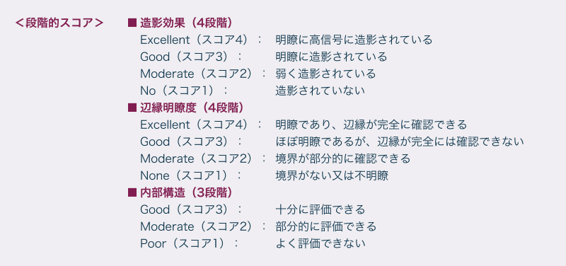 段階的スコアによる3つの描出パラメータ（造影効果、辺縁明瞭度、内部構造）［アムベルビスト組合せ※4のmGBCA組合せ※4に対する非劣性］
