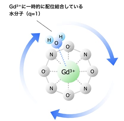 ガドブトロール
