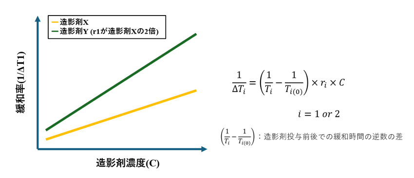 Fig.1 T1緩和度(r1)の算出方法例