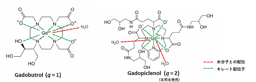 Fig3. 配位水数の異なるMRI造影剤の例(Gadobutrol/Gadopiclenol)